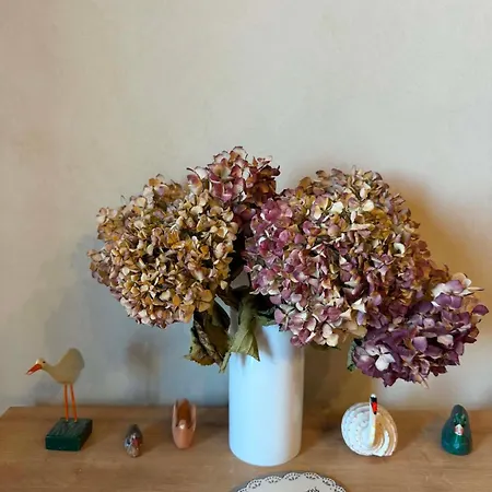 Apartman Anthoula's Fairytale *